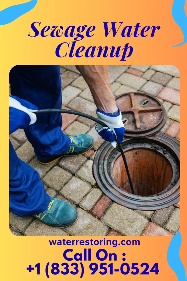 Sewage Water Cleanup in Winfield, IN