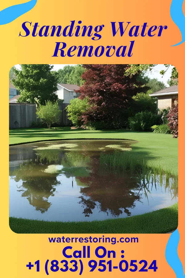 Standing Water Removal in Winfield, IN